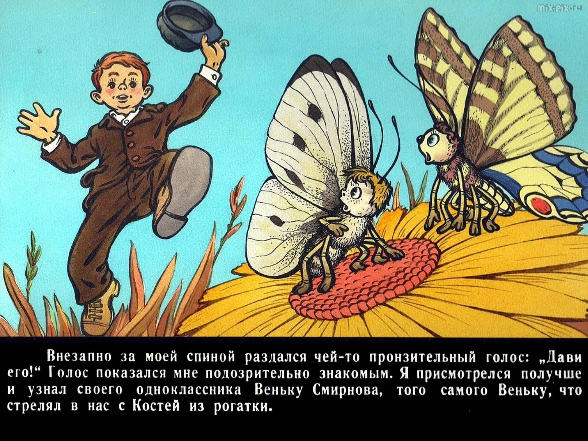 Баранкин будь содержание. Иллюстрации к книге медведев баранкин будь человеком. иллюстрации из книги баранкин будь человеком.