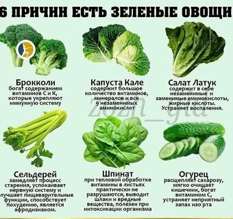 зеленые овощи список