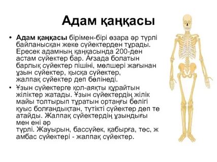 Орыс порно жетілген мұғалімдер