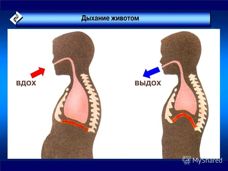 Сделать глубокий вдох выдох