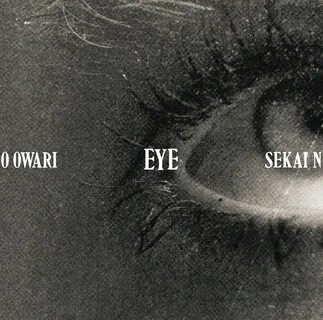 Lowers one eyes