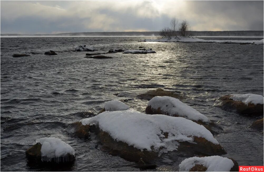 Суровая русская погода. Котенок в снегу. Аллы лебедевой кошляндия 2023. Введенские морозы. Суровый март.