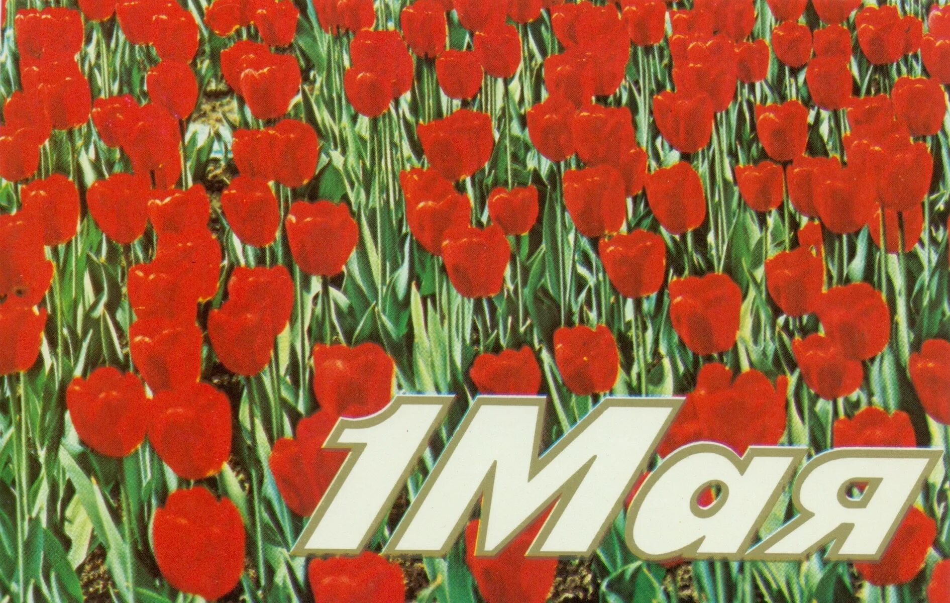May day 2025