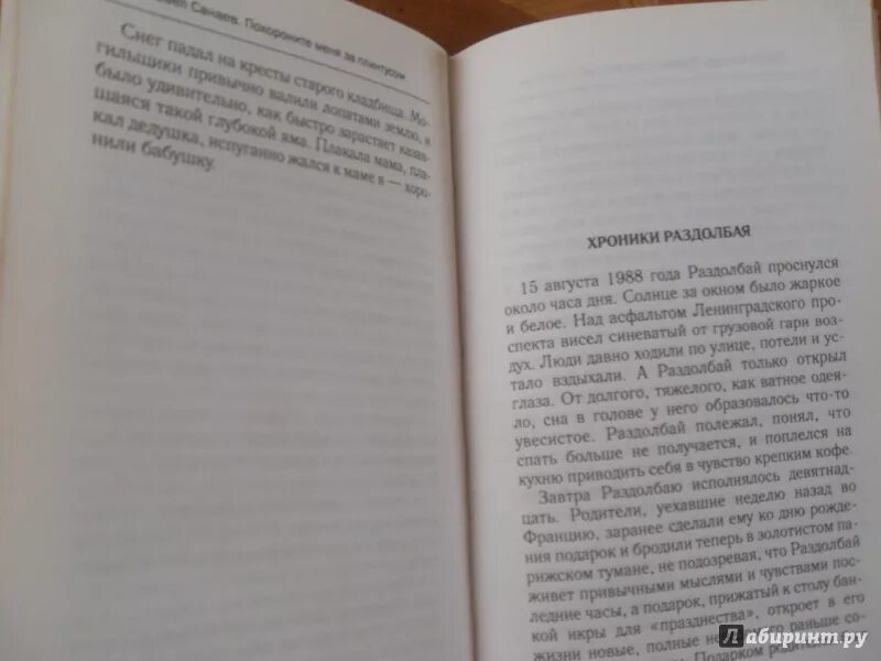 Содержание книги за плинтусом. Похороните меня за плинтусом книга. Похороните меня за плинтусом текст.