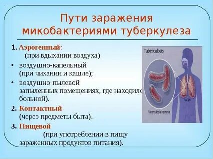 Туберкулез презентация