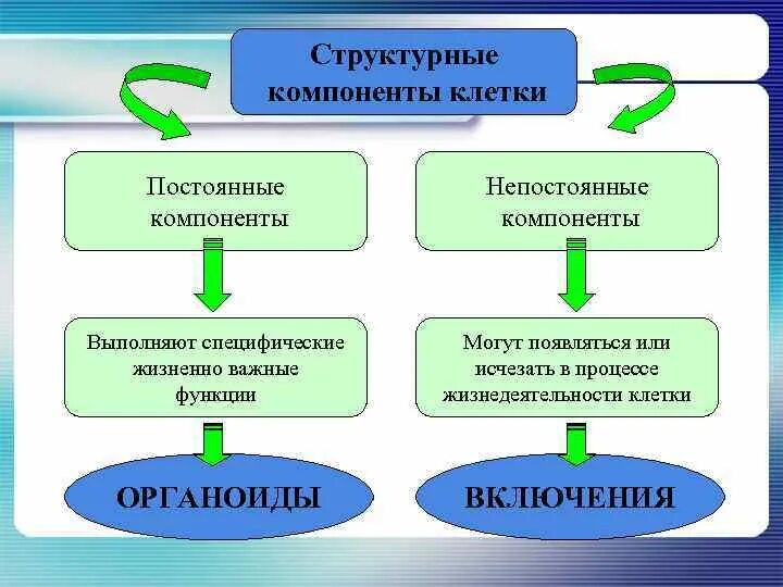 Постоянную структурную