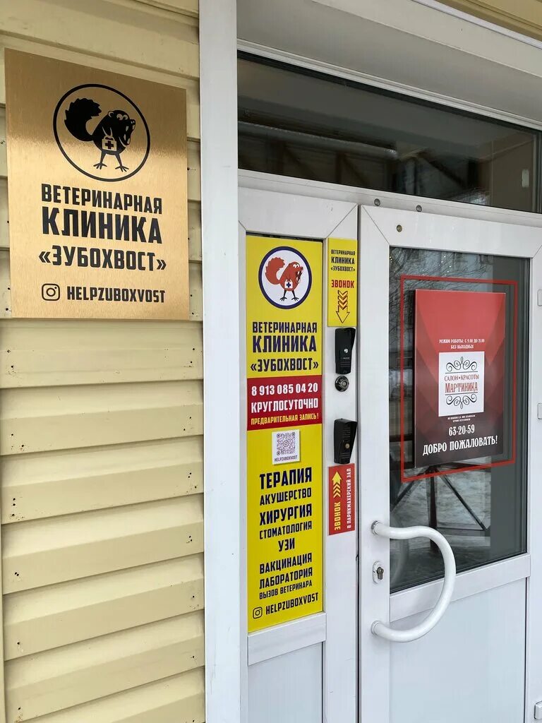 шукшина 24. феникс дмитров ветеринарная клиника. артемида барнаул ветклиника. ул лазурная 19 барнаул. ветклиника барнаул адреса.