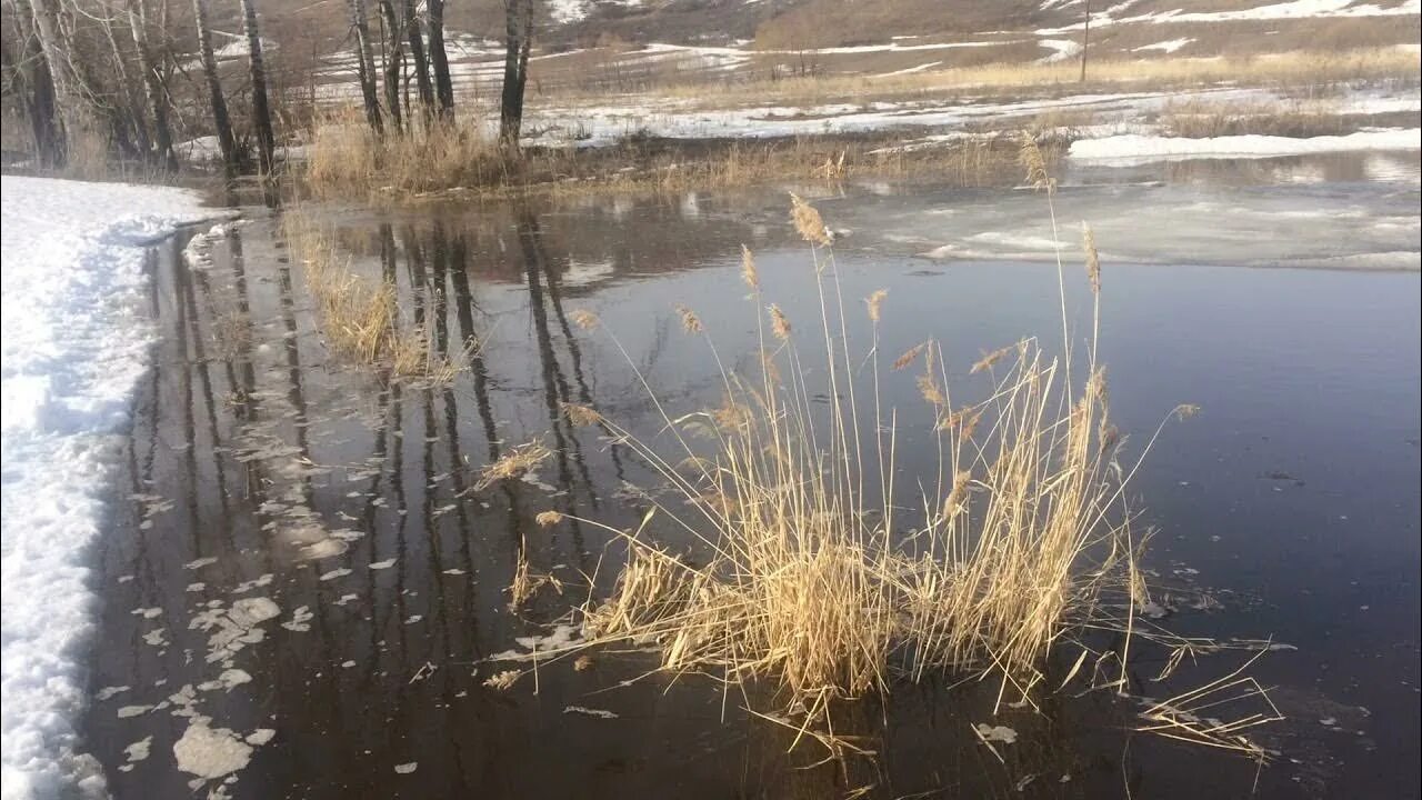 Пруд разливается. Разлив пруда. разливался пруд. борки подтопило. казённый пруд разлился.