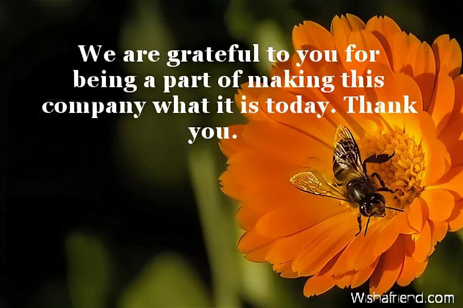 We are for you. We are waiting you. Сериал друзья i ll be there for you. For you картинки. We are for you.