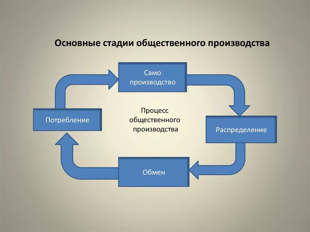 Опишите основные. Стадии общественного производства. Основные этапы производства. Основные стадии общественного производства. Стадии процесса производства.