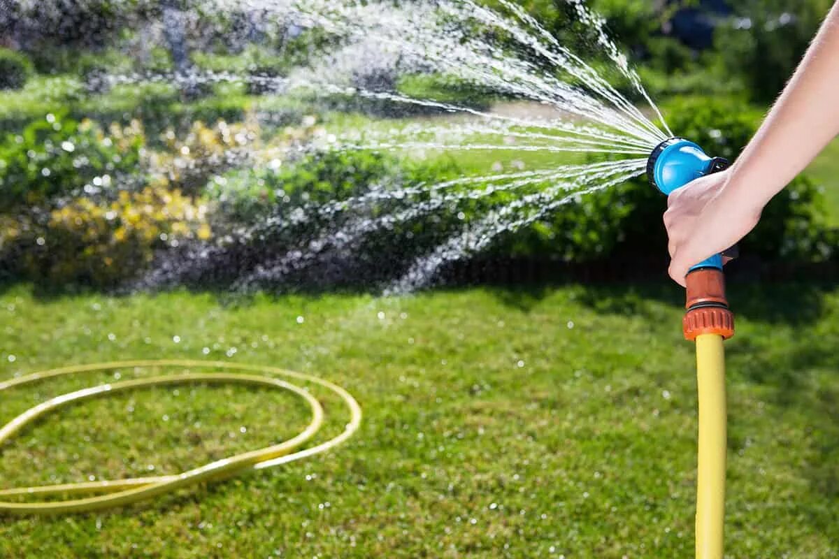 Какой должна быть вода для полива. Шланг Water Hose. Шланги для полива огорода. Шланг для полива на даче. Шланг для полива газона.