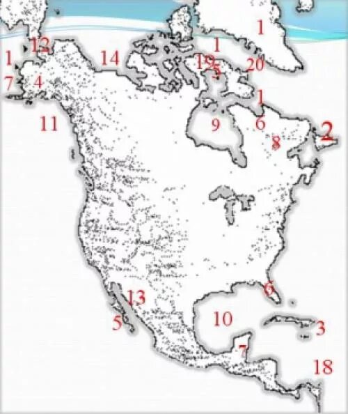 Изрезанность береговой линии Северной Америки. Очертания береговой линии Северной Америки. Элементы береговой линии Северной Америки на карте. Береговая линия Северной Америки на контурной карте.