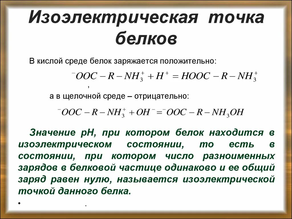 Белковая точка. Изоэлектрическая точка белка. Определение изоэлектрической точки белка. Изо электрическая точка бклкуа. Белки в кислой среде.