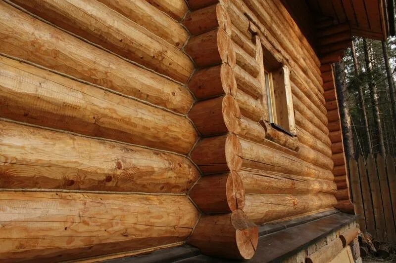 Покрытие бревна. Пропитка для сруба. пропитка для бревна. лакированный сруб. деревянный обработанный дом.