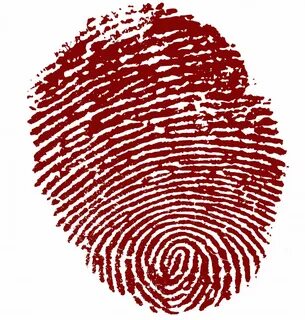 Fingerprinting javascript