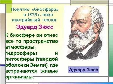 Термин биосфера