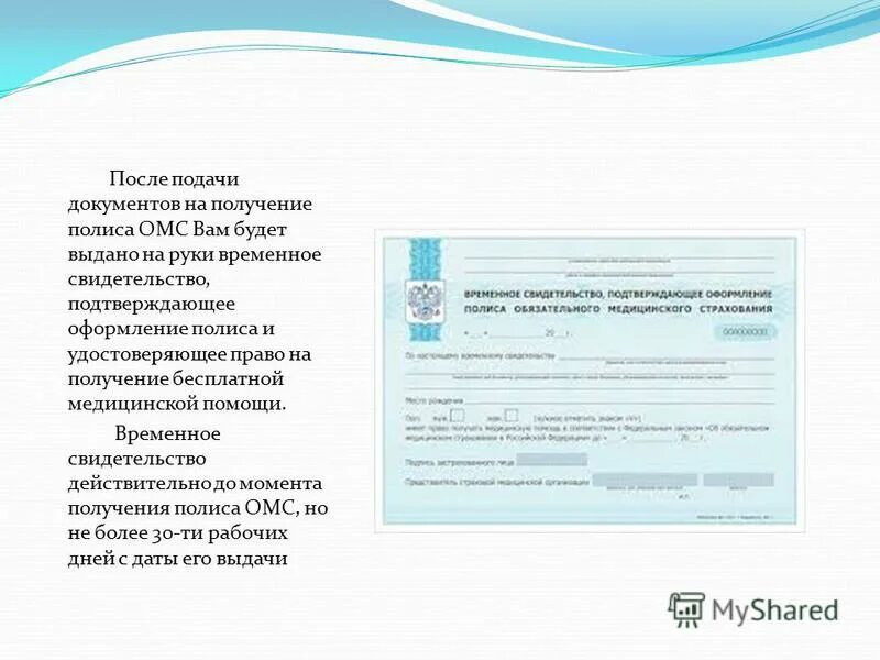 Документы чтобы получить полис