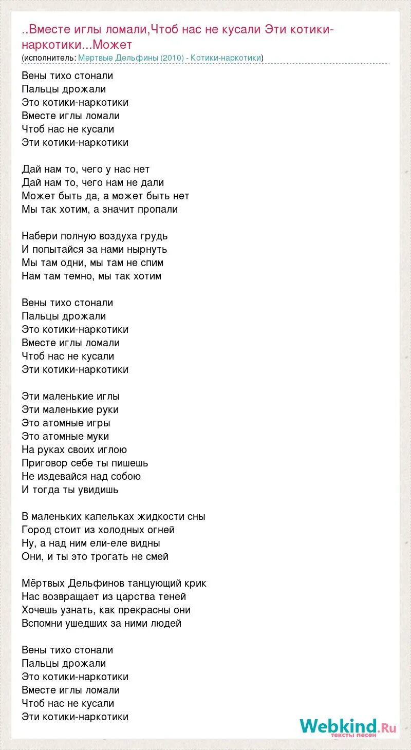 Как дельфины мы уходим текст. Александр рыбак котик текст. текст песни котик александр рыбак. котики наркотики текст. текст песни котик.