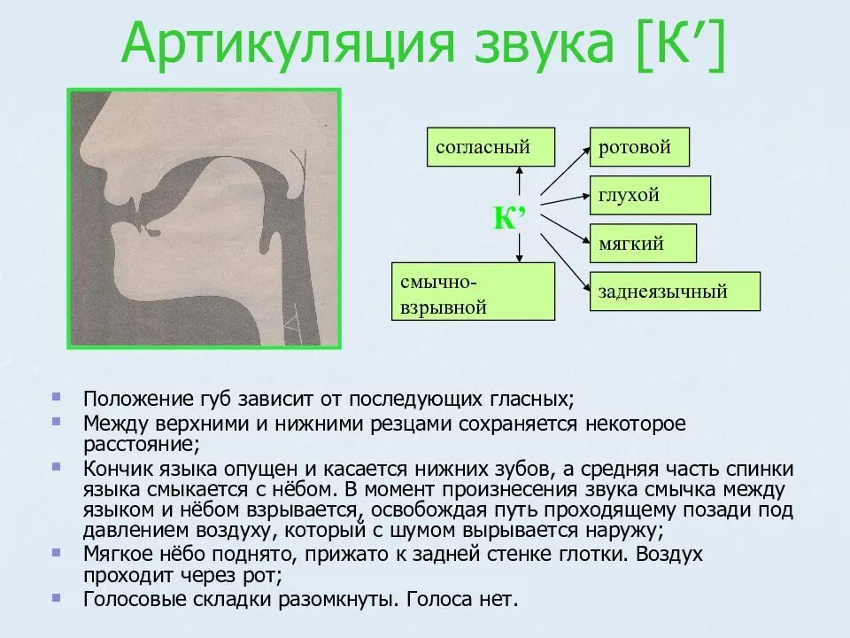 Голосовой букв. Правильная артикуляция звука р для детей. Артикуляционный уклад звука сь. Артикуляция заднеязычных звуков. Артикуляция заднеязычных согласных звуков.