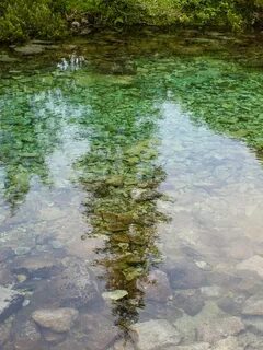 Болотная жижа
