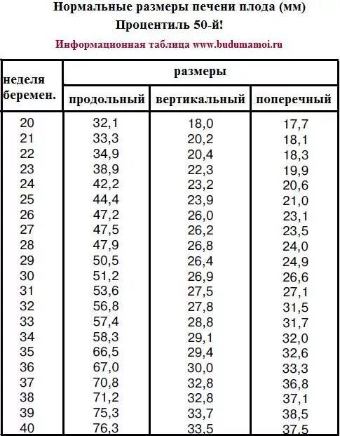 Норма печени у детей