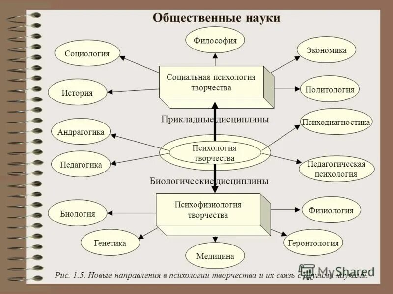 Перечисли общественные науки. Общественные науки. Основные социальные науки. Социальные науки примеры. Общественные науки схема.