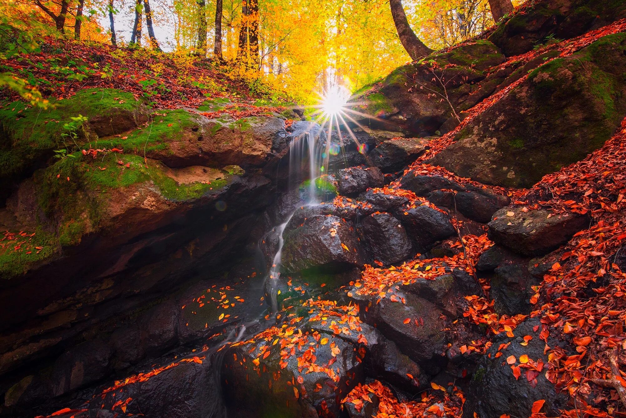 Natural fall. Водопад солнце. Ручей солнце. Осень лес ручей солнце. Осень солнце.