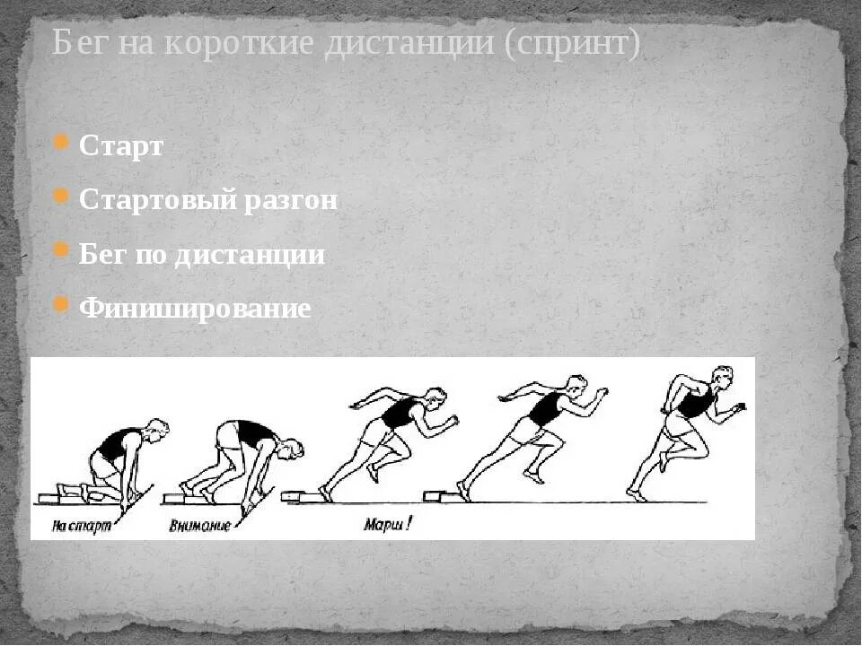 Низкий старт сколько команд. Техника спринтерского бега низкий старт. Фазы бега на короткие дистанции с низкого старта. Фазы бега на короткие дистанции финиширование. Фазы бега на короткие дистанции спринт.