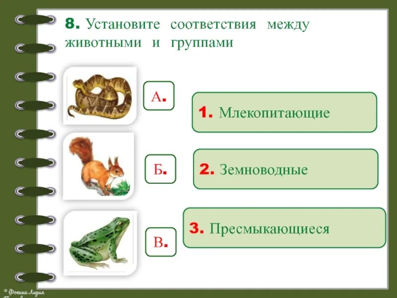 Проверочная по биологии пресмыкающиеся. Задание на соответствие по окружающему миру. Задание по теме класс земноводные. Млекопитающие и пресмыкающиеся и земноводные. Земноводные и пресмыкающиеся задания для дошкольников.