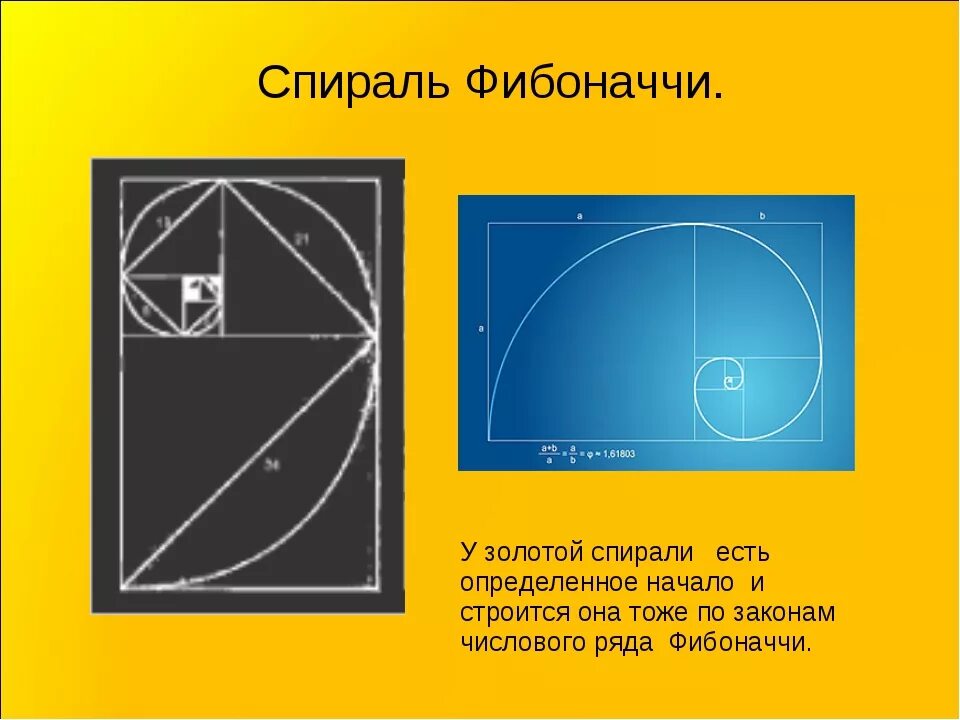 Фибоначчи что это такое простыми. Золотая спираль спираль фибоначчи. спираль фибоначчи золотое сечение построение. число фибоначчи золотое сечение. фибоначчи спираль фибоначчи.