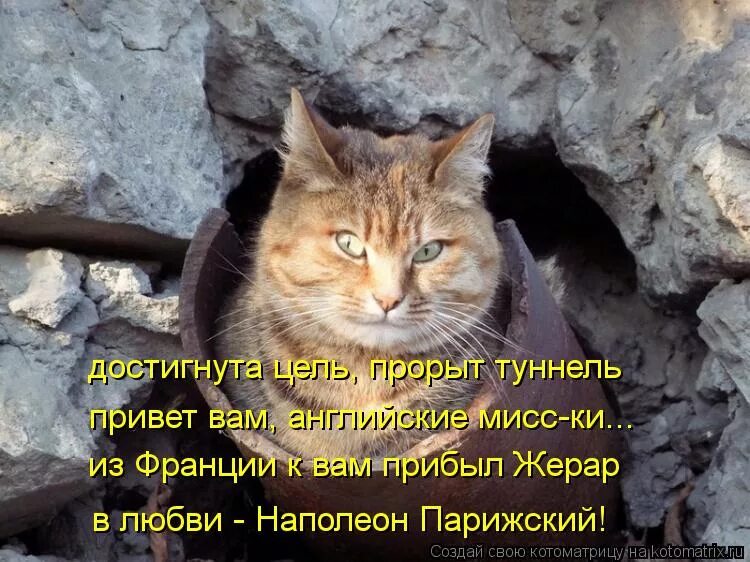 Вышел из подвала песня. Опешить. Держи голову в холоде. Выполз кот. Вот теперь и не обижайтесь.