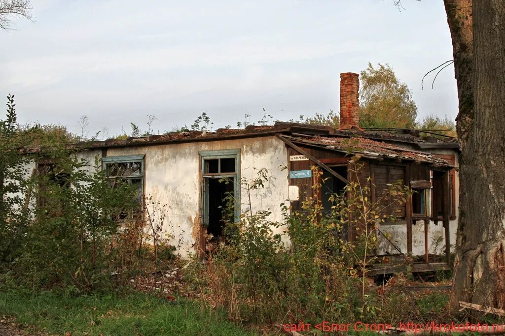 124 щекино огаревка. 124 щекино огаревка. поселок огаревка тульской области. посёлок огаревка щекинский район. огаревка тульская область щекинский район.