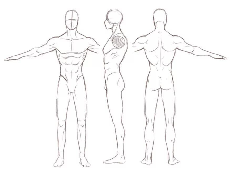 Рисунок со стороны. Человек референс t-pose. Тело мужчины сбоку референс. Туловище сбоку референс. Эскиз мужского тела.