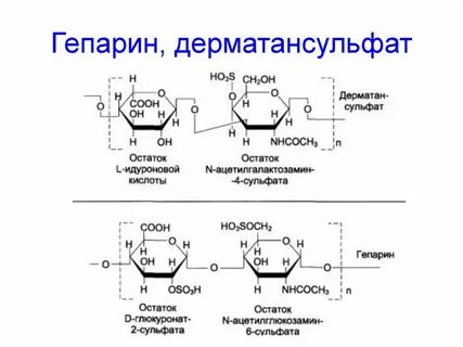 Гепарин биологическая роль