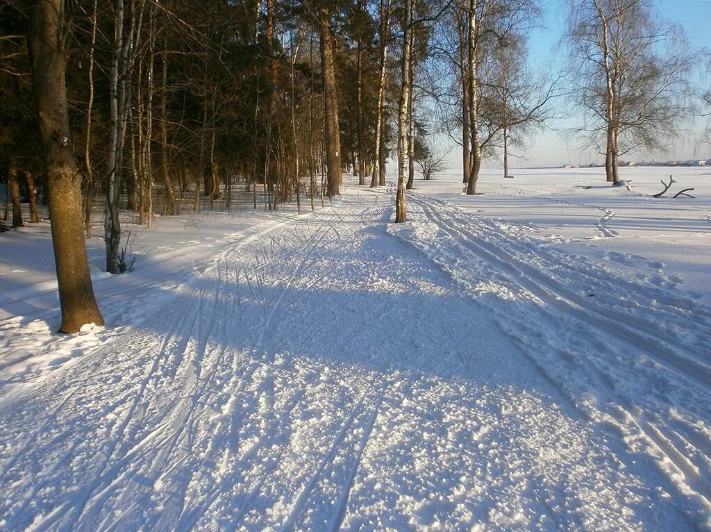 Лыжня в Кусково. Серебряный Бор Лыжня. Лыжня Абрамцево Хлыбы. Суоярви лыжная трасса.