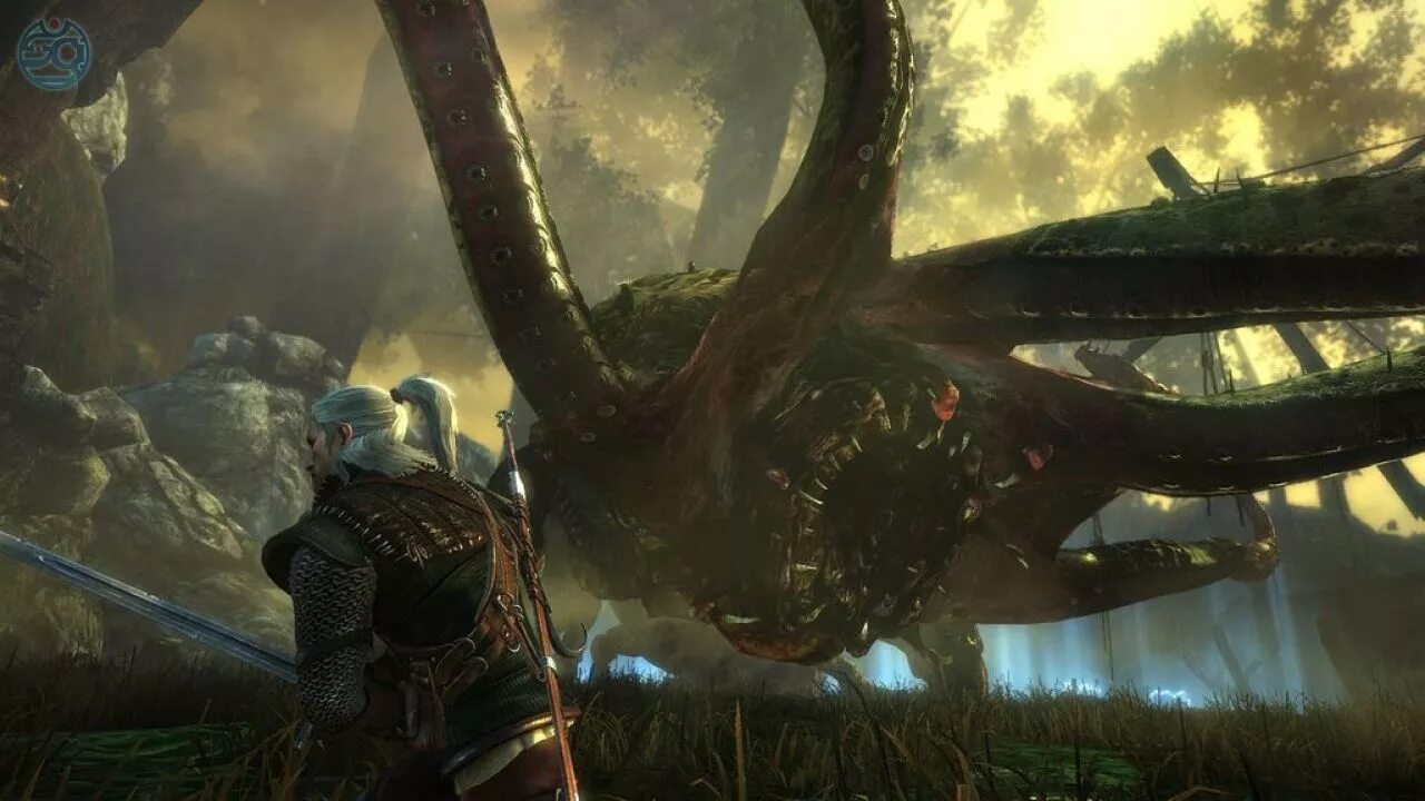Ведьмак 2 обзор. Witcher 2 кейран. ведьмак 2: убийцы королей. кейран ведьмак арт.