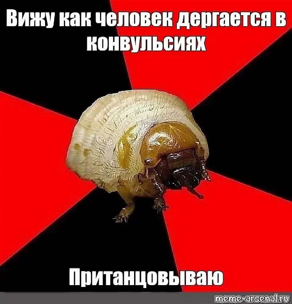 Эпилептические гиф. Раздражающие гифки. Что значит биться в конвульсиях. Бьется в конвульсиях человек. Человек бьется в конвульсиях.