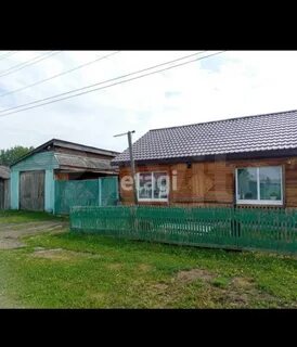 Продам большая мурта