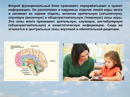 Развитие сигнальных систем у детей