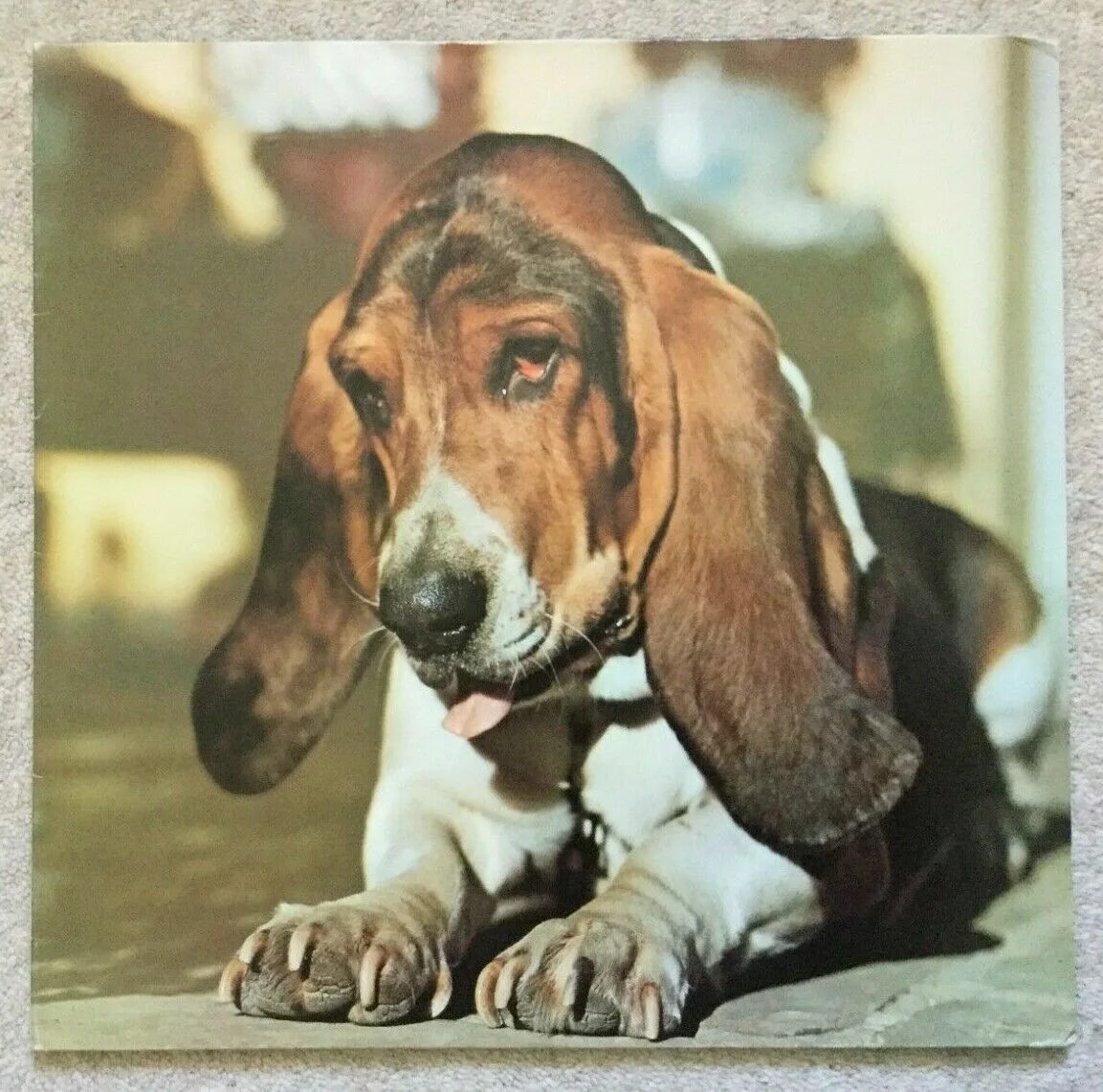 Duffy just in case you're interested. реджина холл и ее муж. Freddie gibbs soul sold separately альбом. Duffy [uk] - just in case you're interested (1972). You re interested.