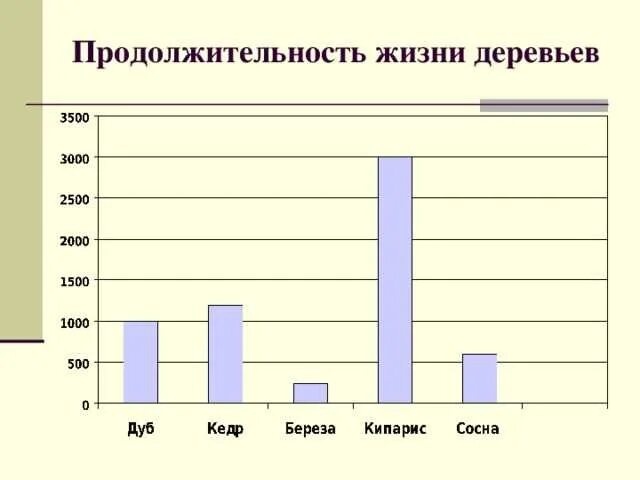 Продолжительность жизни деревьев дуб береза. Продолжительность жизни дере. Продолжительность жизни деревьев таблица. Диаграмма дерево. Средний срок жизни дуба составляет около пятьсот