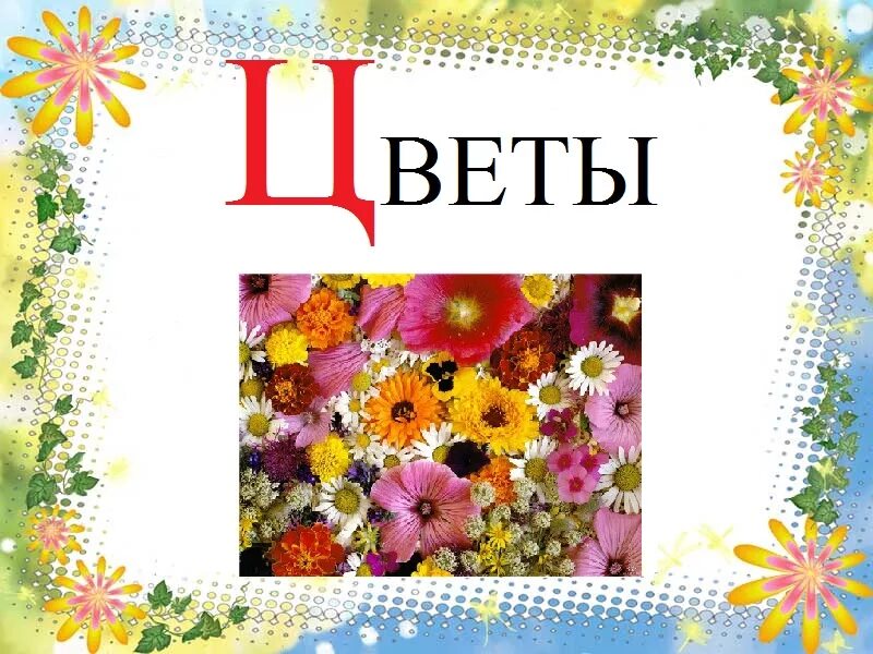 Ц ю ч