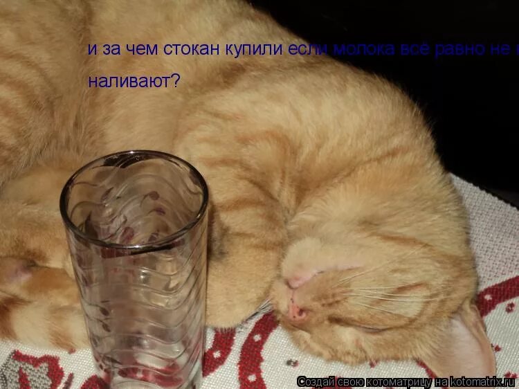 И я наливаю мое. Открытка наливай. наливаю картинки прикольные. наливай картинки прикольные. коту налей.