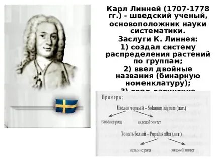 Ученый линней вклад в биологию