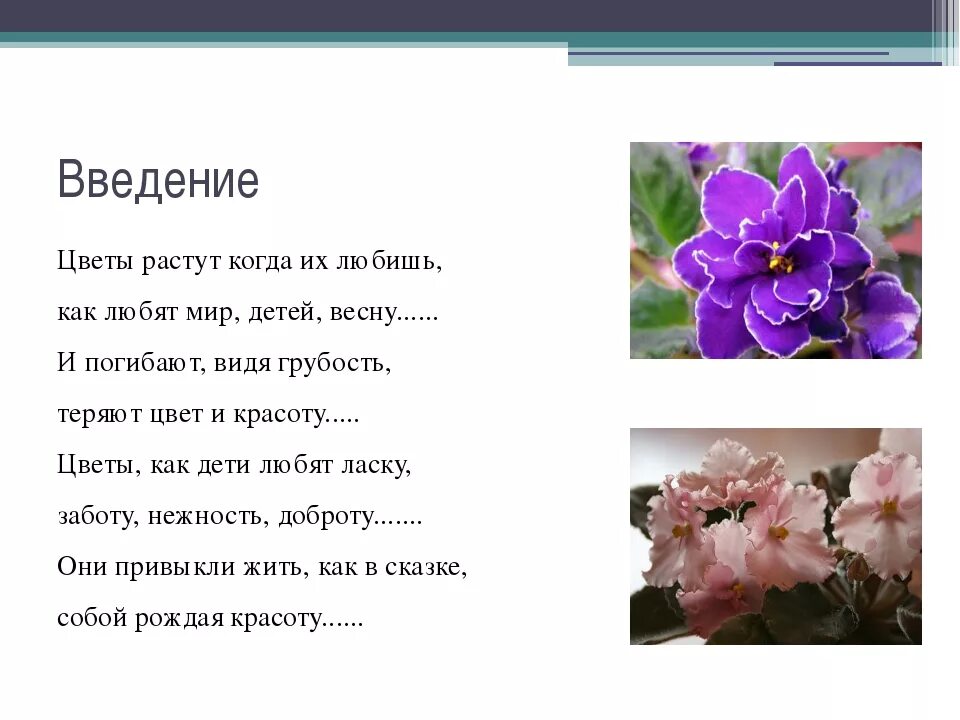 Конспект фиалка. Загадка про фиалку. Введение цветов Введение цветов. Стих про фиалку. Детское стихотворение про фиалку.