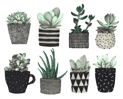 Plant series