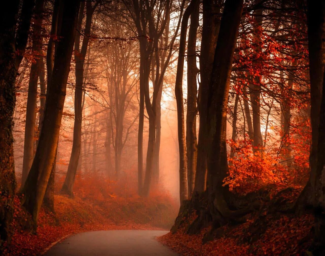 Fall in the dark
