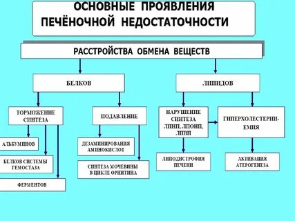 Нарушение обмена печени