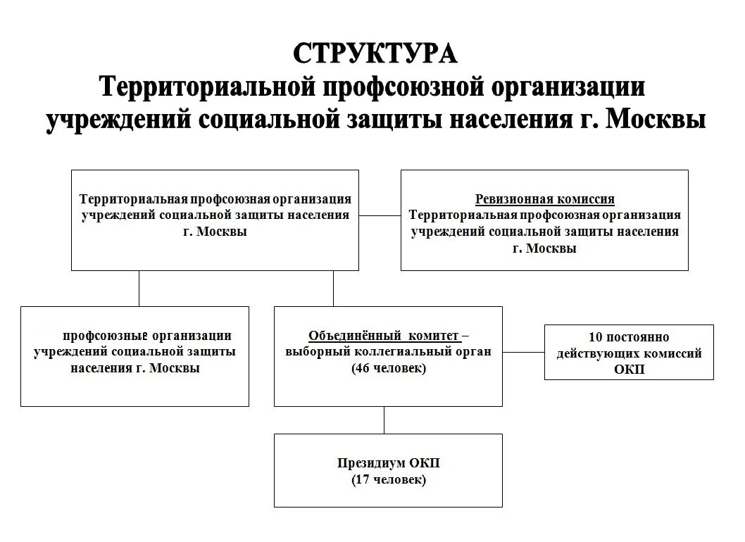 Министерство социальному обеспечению рф. Структура управления социальной защиты населения РФ схема. Структура департамента социальной защиты населения схема. Структура департамента социальной защиты населения РФ. Организационная структура территориальной профсоюзной организации.