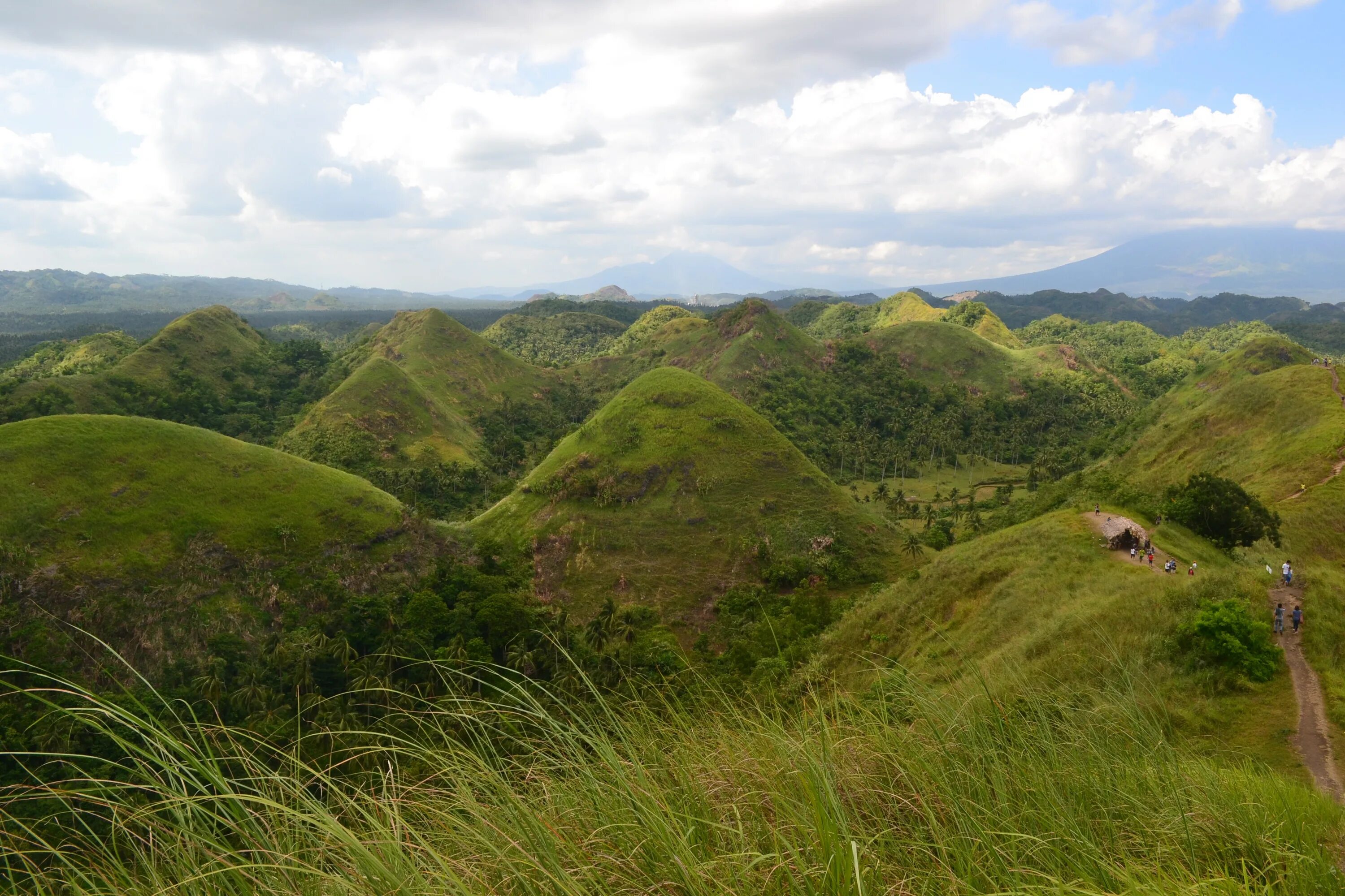 Холмы. Холм. Холмы фото. Шоколадные холмы Филиппины.